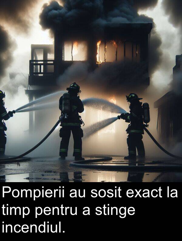 stinge: Pompierii au sosit exact la timp pentru a stinge incendiul.