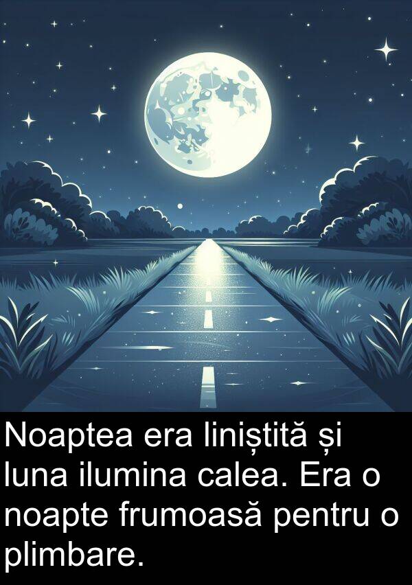 ilumina: Noaptea era liniștită și luna ilumina calea. Era o noapte frumoasă pentru o plimbare.