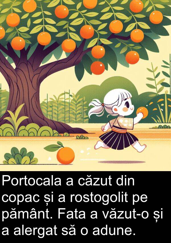 pământ: Portocala a căzut din copac și a rostogolit pe pământ. Fata a văzut-o și a alergat să o adune.