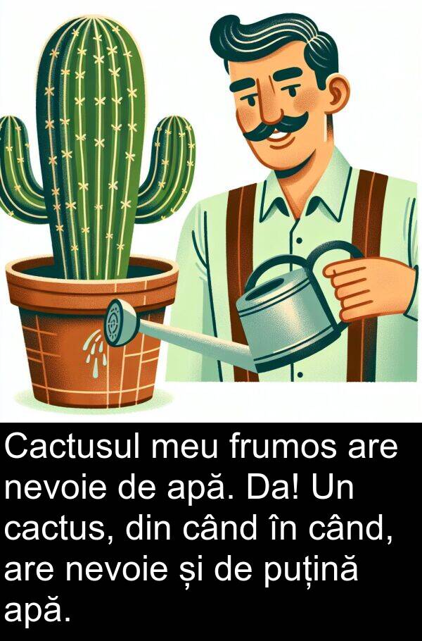 cactus: Cactusul meu frumos are nevoie de apă. Da! Un cactus, din când în când, are nevoie și de puțină apă.