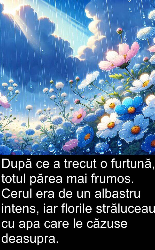 deasupra: După ce a trecut o furtună, totul părea mai frumos. Cerul era de un albastru intens, iar florile străluceau cu apa care le căzuse deasupra.