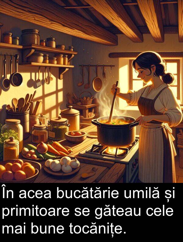 umilă: În acea bucătărie umilă și primitoare se găteau cele mai bune tocănițe.