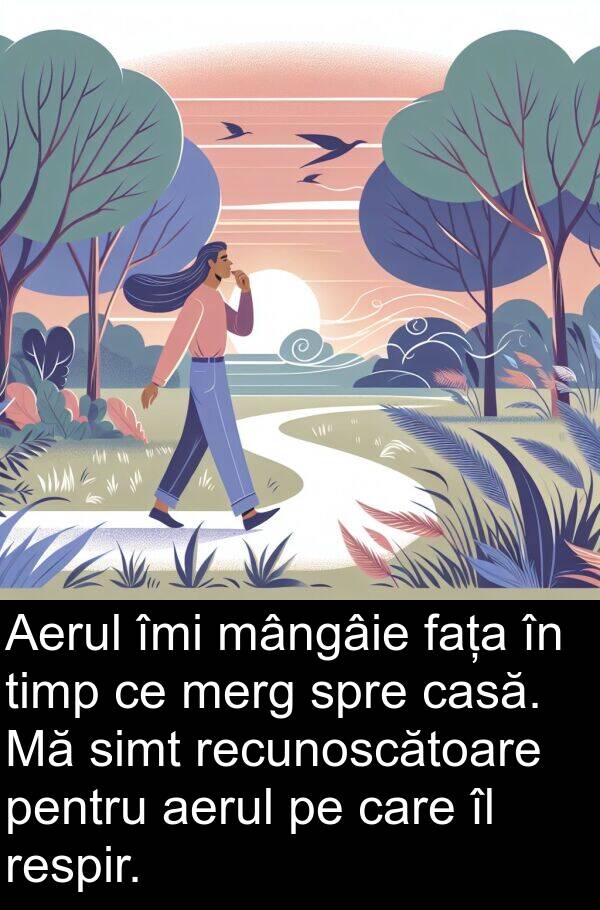 fața: Aerul îmi mângâie fața în timp ce merg spre casă. Mă simt recunoscătoare pentru aerul pe care îl respir.