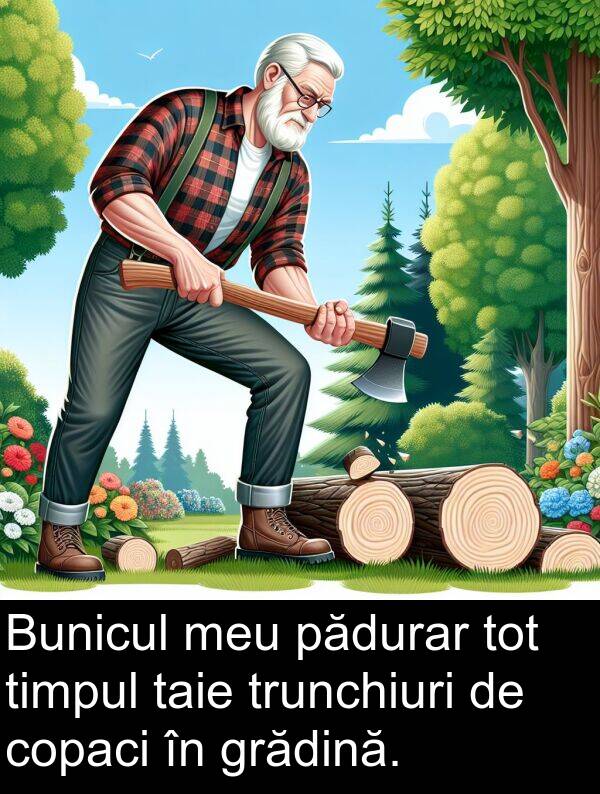 taie: Bunicul meu pădurar tot timpul taie trunchiuri de copaci în grădină.