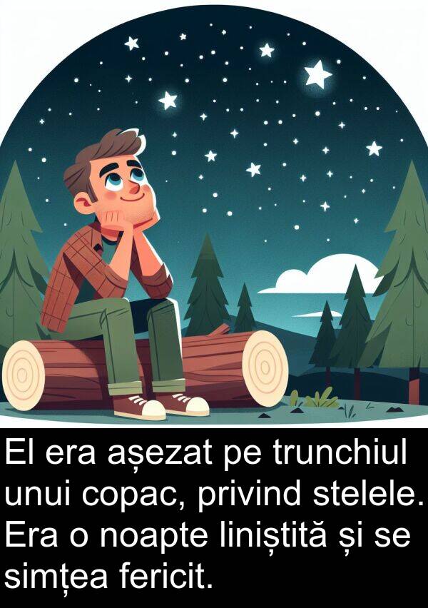 stelele: El era așezat pe trunchiul unui copac, privind stelele. Era o noapte liniștită și se simțea fericit.