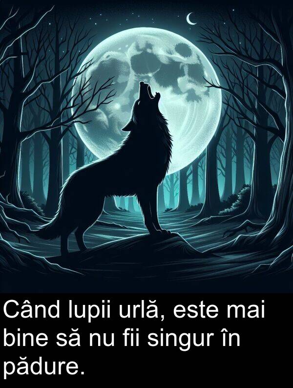 mai: Când lupii urlă, este mai bine să nu fii singur în pădure.