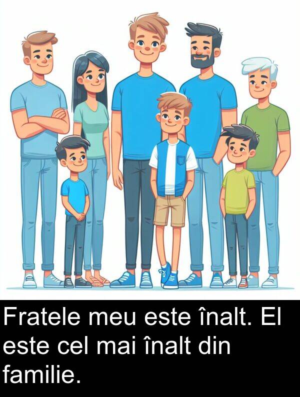 înalt: Fratele meu este înalt. El este cel mai înalt din familie.