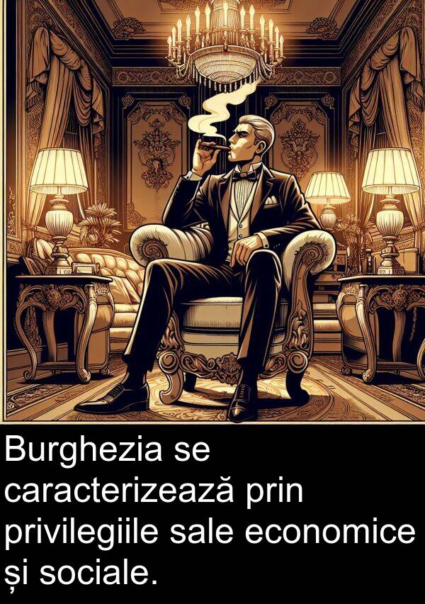 sale: Burghezia se caracterizează prin privilegiile sale economice și sociale.