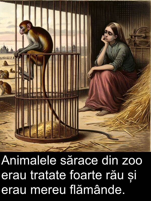 sărace: Animalele sărace din zoo erau tratate foarte rău și erau mereu flămânde.