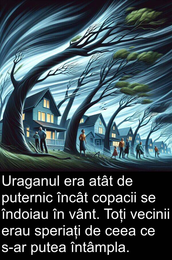 vecinii: Uraganul era atât de puternic încât copacii se îndoiau în vânt. Toți vecinii erau speriați de ceea ce s-ar putea întâmpla.