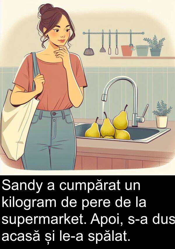 kilogram: Sandy a cumpărat un kilogram de pere de la supermarket. Apoi, s-a dus acasă și le-a spălat.