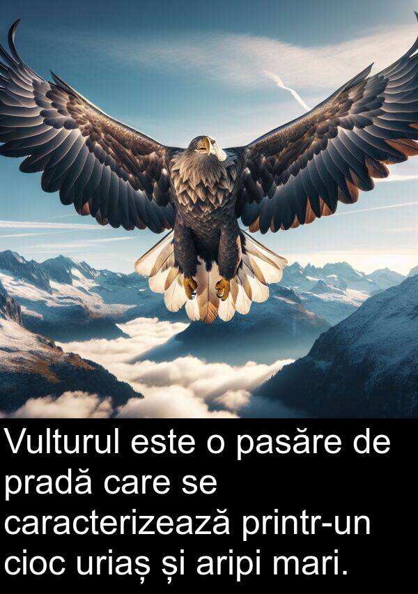 aripi: Vulturul este o pasăre de pradă care se caracterizează printr-un cioc uriaș și aripi mari.