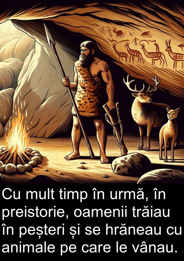 hrăneau: Cu mult timp în urmă, în preistorie, oamenii trăiau în peșteri și se hrăneau cu animale pe care le vânau.