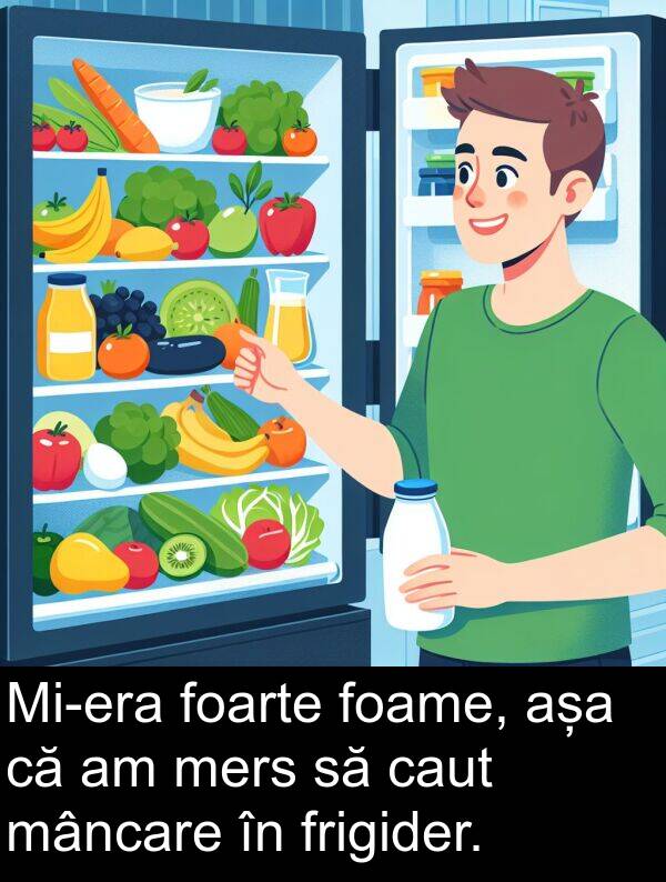 mâncare: Mi-era foarte foame, așa că am mers să caut mâncare în frigider.