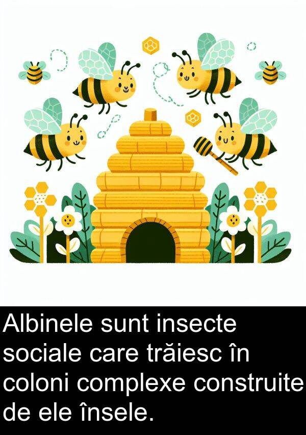 ele: Albinele sunt insecte sociale care trăiesc în coloni complexe construite de ele însele.