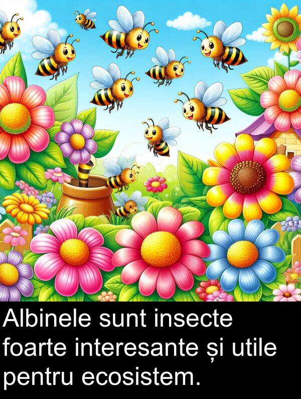 ecosistem: Albinele sunt insecte foarte interesante și utile pentru ecosistem.