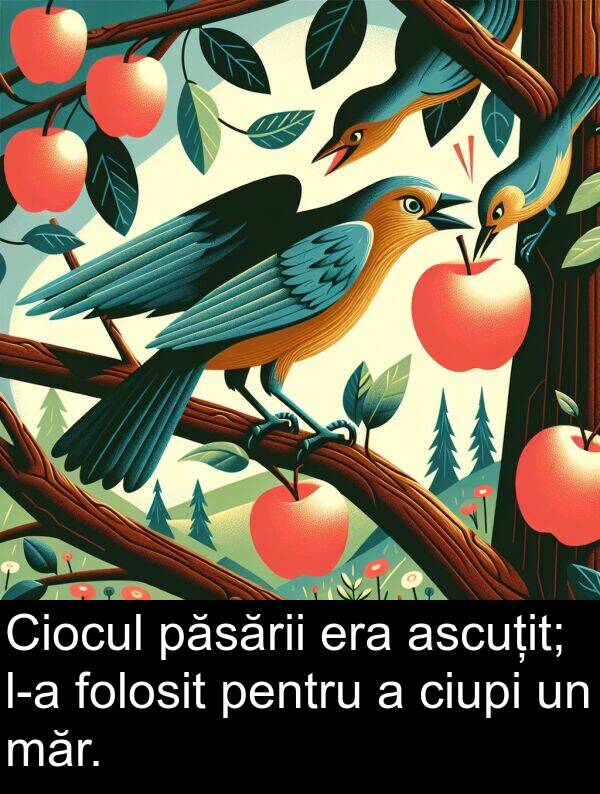 ascuțit: Ciocul păsării era ascuțit; l-a folosit pentru a ciupi un măr.