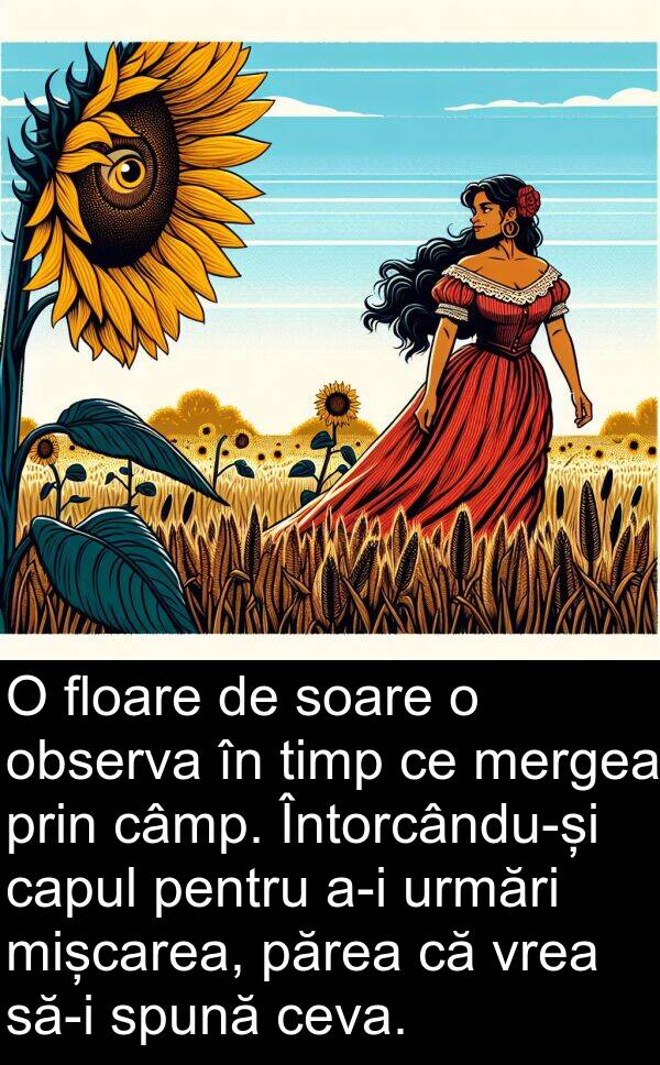 observa: O floare de soare o observa în timp ce mergea prin câmp. Întorcându-și capul pentru a-i urmări mișcarea, părea că vrea să-i spună ceva.