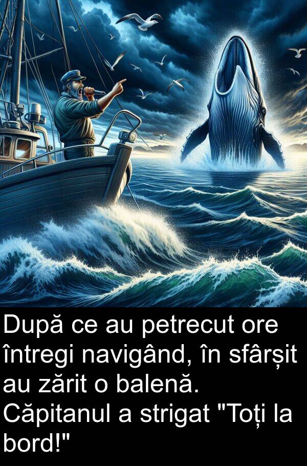 navigând: După ce au petrecut ore întregi navigând, în sfârșit au zărit o balenă. Căpitanul a strigat "Toți la bord!"