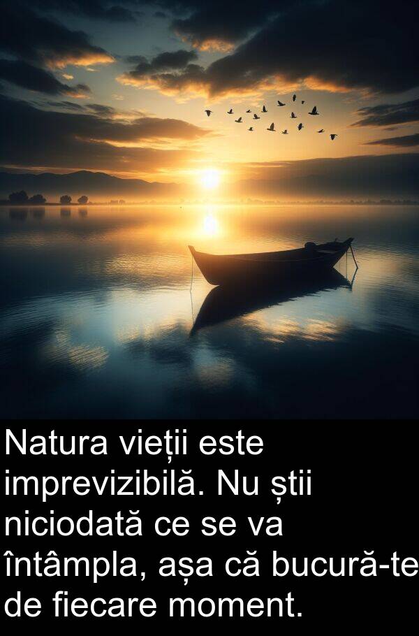 știi: Natura vieții este imprevizibilă. Nu știi niciodată ce se va întâmpla, așa că bucură-te de fiecare moment.