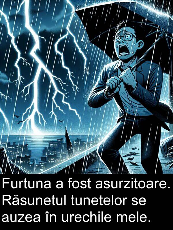 auzea: Furtuna a fost asurzitoare. Răsunetul tunetelor se auzea în urechile mele.