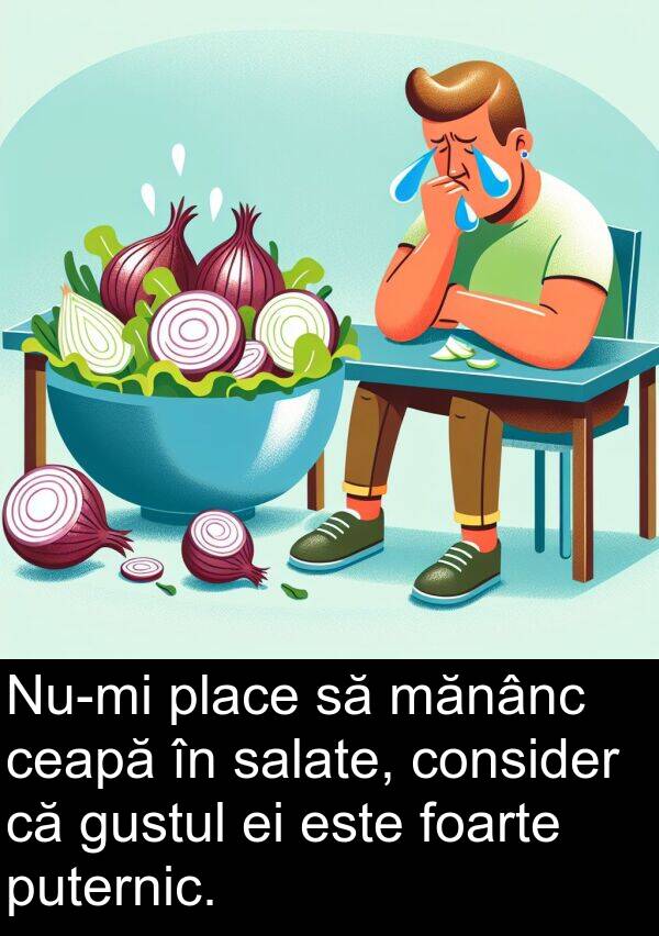 salate: Nu-mi place să mănânc ceapă în salate, consider că gustul ei este foarte puternic.