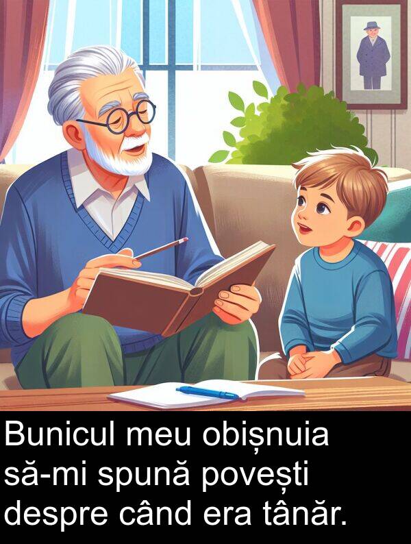 obișnuia: Bunicul meu obișnuia să-mi spună povești despre când era tânăr.