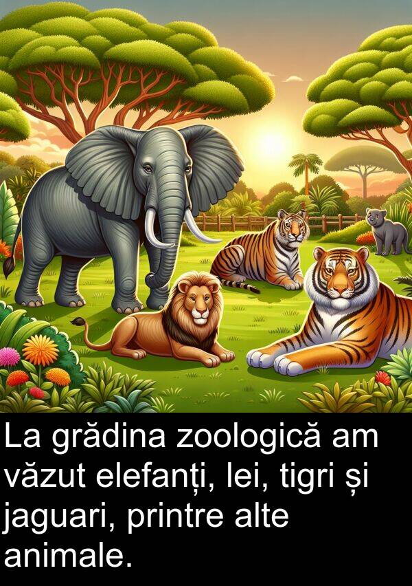 elefanți: La grădina zoologică am văzut elefanți, lei, tigri și jaguari, printre alte animale.