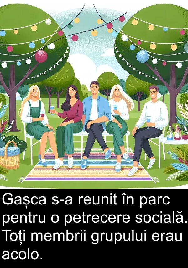 socială: Gașca s-a reunit în parc pentru o petrecere socială. Toți membrii grupului erau acolo.