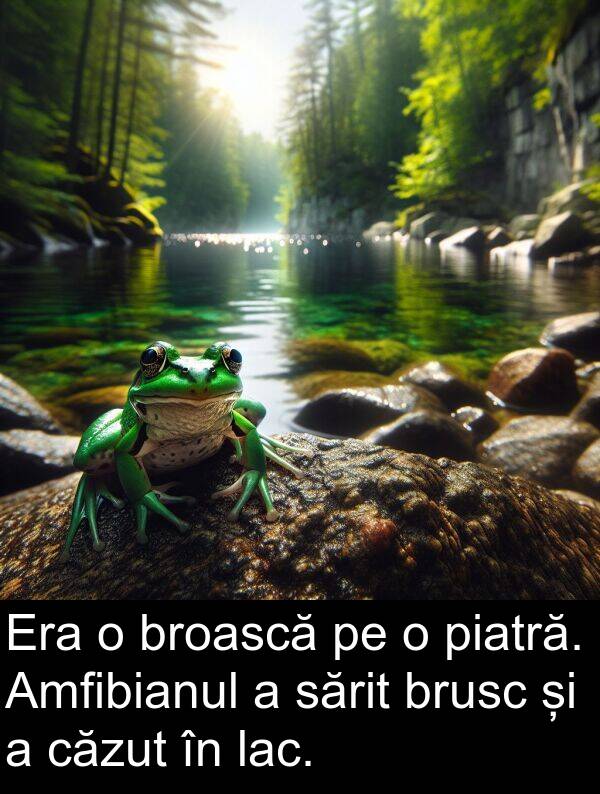 sărit: Era o broască pe o piatră. Amfibianul a sărit brusc și a căzut în lac.