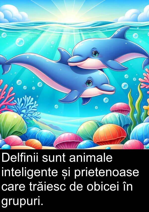 obicei: Delfinii sunt animale inteligente și prietenoase care trăiesc de obicei în grupuri.