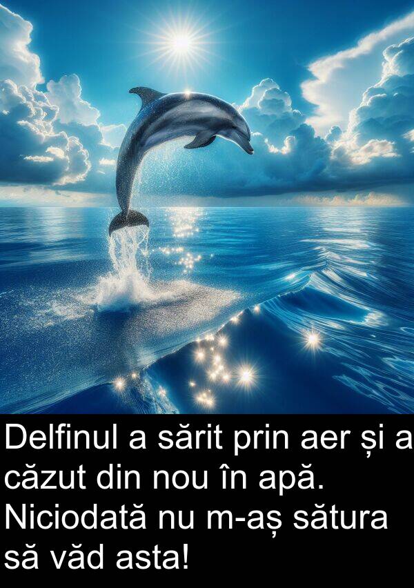 sărit: Delfinul a sărit prin aer și a căzut din nou în apă. Niciodată nu m-aș sătura să văd asta!