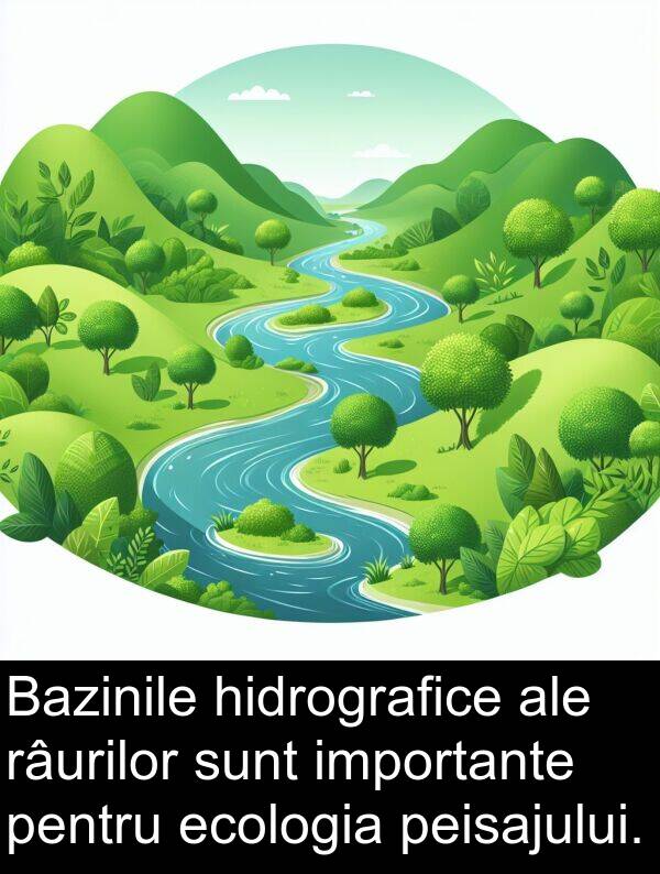 hidrografice: Bazinile hidrografice ale râurilor sunt importante pentru ecologia peisajului.