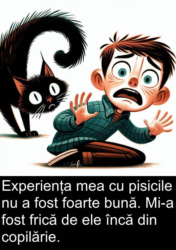 încă: Experiența mea cu pisicile nu a fost foarte bună. Mi-a fost frică de ele încă din copilărie.