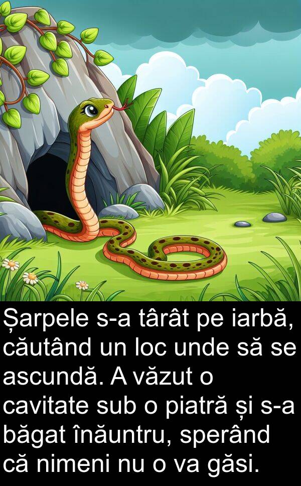 iarbă: Șarpele s-a târât pe iarbă, căutând un loc unde să se ascundă. A văzut o cavitate sub o piatră și s-a băgat înăuntru, sperând că nimeni nu o va găsi.