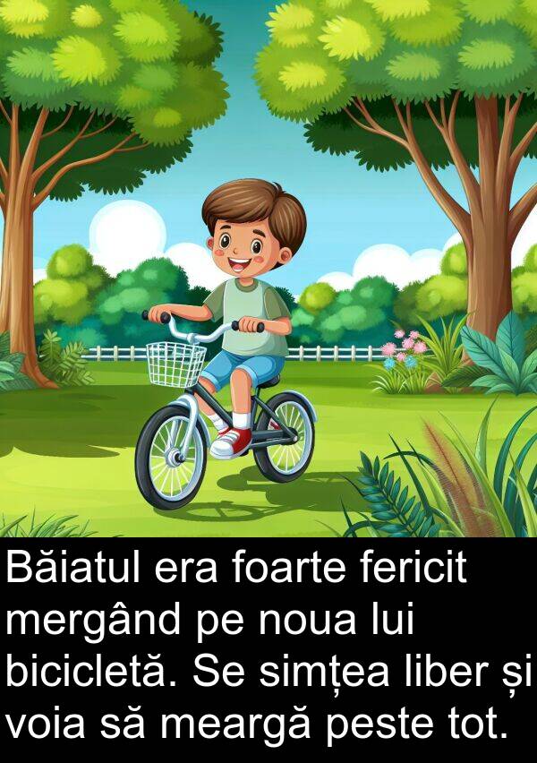 simțea: Băiatul era foarte fericit mergând pe noua lui bicicletă. Se simțea liber și voia să meargă peste tot.