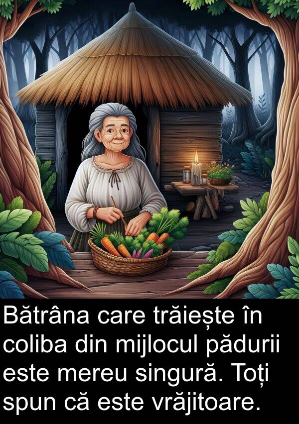 pădurii: Bătrâna care trăiește în coliba din mijlocul pădurii este mereu singură. Toți spun că este vrăjitoare.