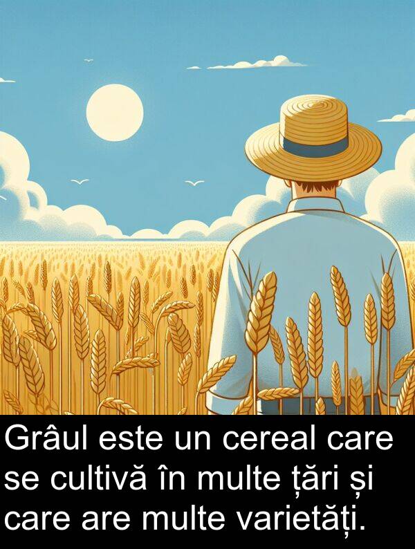 țări: Grâul este un cereal care se cultivă în multe țări și care are multe varietăți.