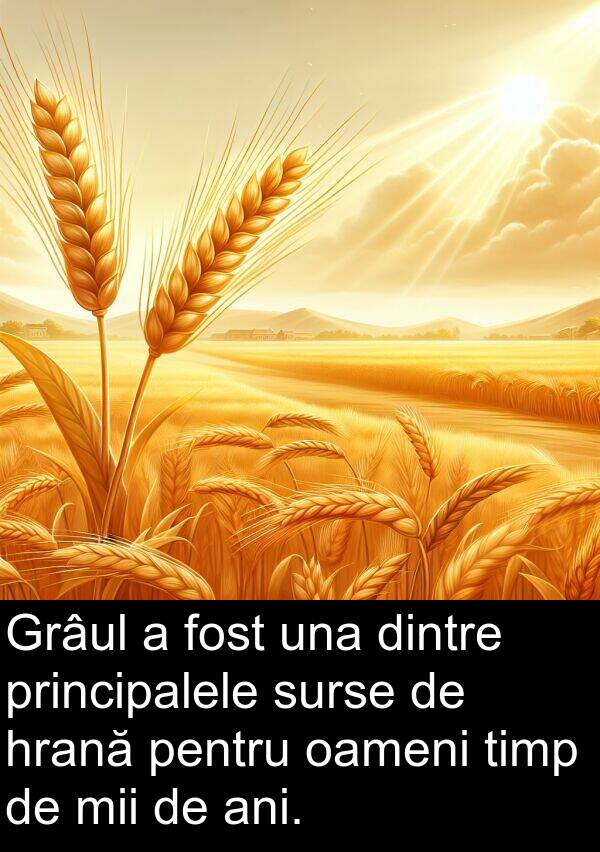 hrană: Grâul a fost una dintre principalele surse de hrană pentru oameni timp de mii de ani.