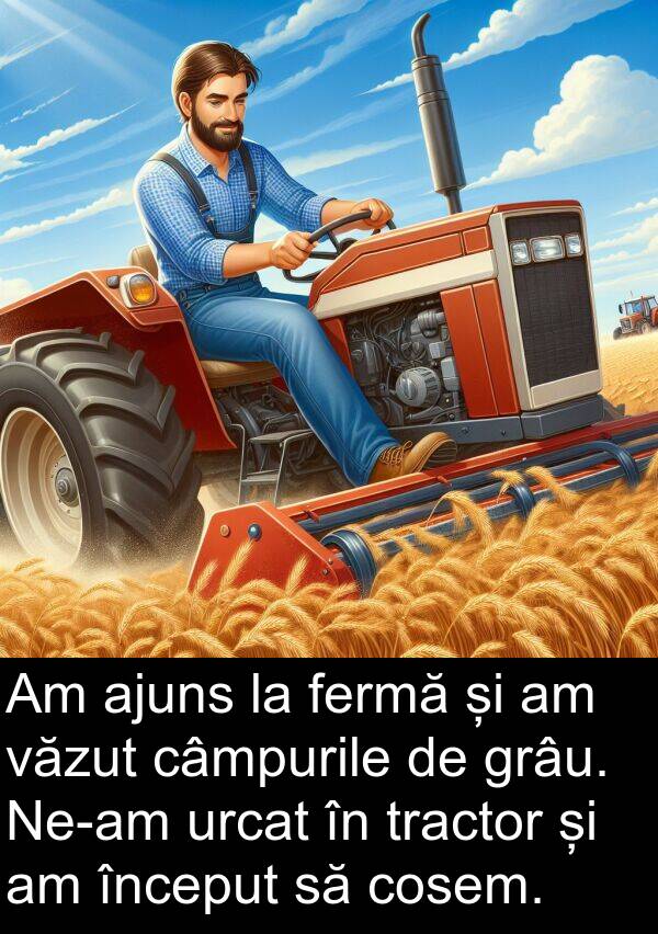 fermă: Am ajuns la fermă și am văzut câmpurile de grâu. Ne-am urcat în tractor și am început să cosem.