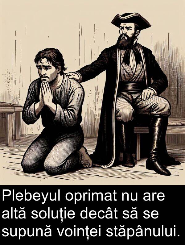 decât: Plebeyul oprimat nu are altă soluție decât să se supună voinței stăpânului.