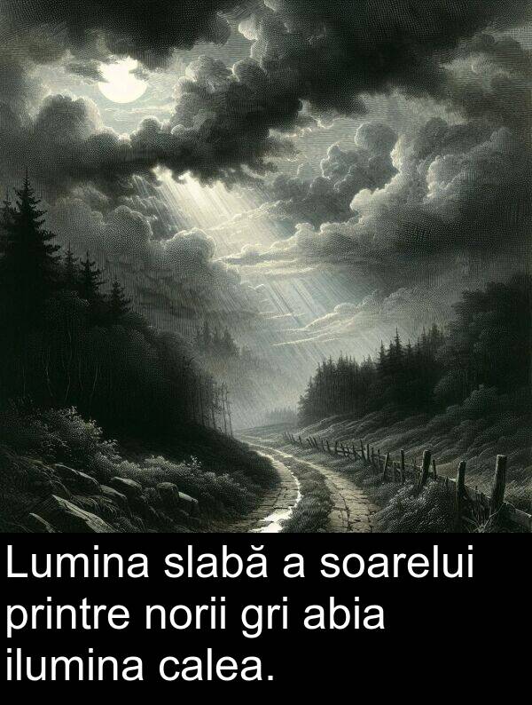 ilumina: Lumina slabă a soarelui printre norii gri abia ilumina calea.