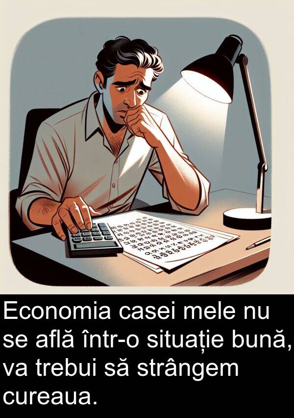 situație: Economia casei mele nu se află într-o situație bună, va trebui să strângem cureaua.