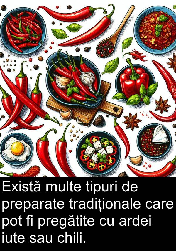 sau: Există multe tipuri de preparate tradiționale care pot fi pregătite cu ardei iute sau chili.