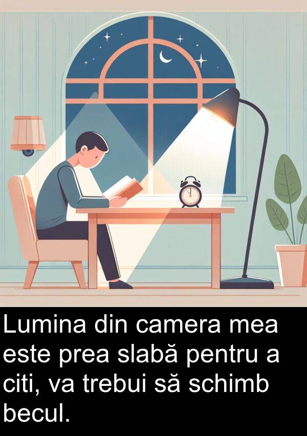 camera: Lumina din camera mea este prea slabă pentru a citi, va trebui să schimb becul.