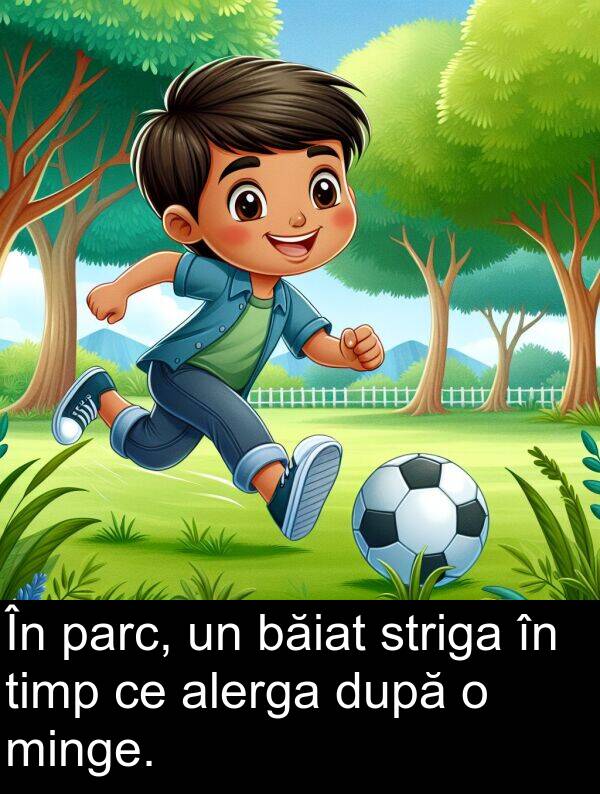 băiat: În parc, un băiat striga în timp ce alerga după o minge.