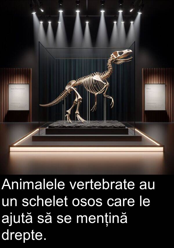 drepte: Animalele vertebrate au un schelet osos care le ajută să se mențină drepte.