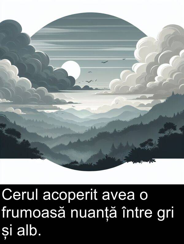 nuanță: Cerul acoperit avea o frumoasă nuanță între gri și alb.