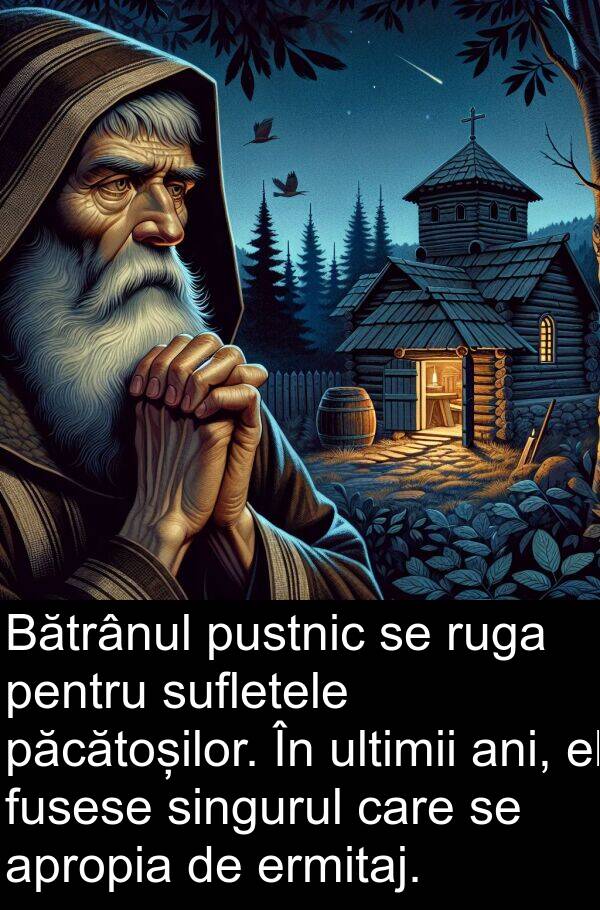 păcătoșilor: Bătrânul pustnic se ruga pentru sufletele păcătoșilor. În ultimii ani, el fusese singurul care se apropia de ermitaj.