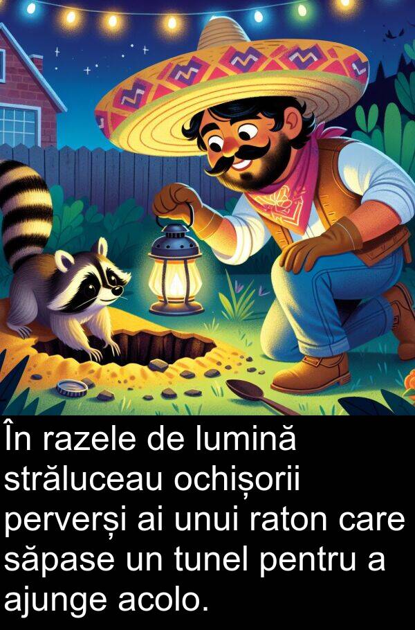 unui: În razele de lumină străluceau ochișorii perverși ai unui raton care săpase un tunel pentru a ajunge acolo.